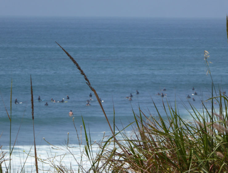 topanga surfers