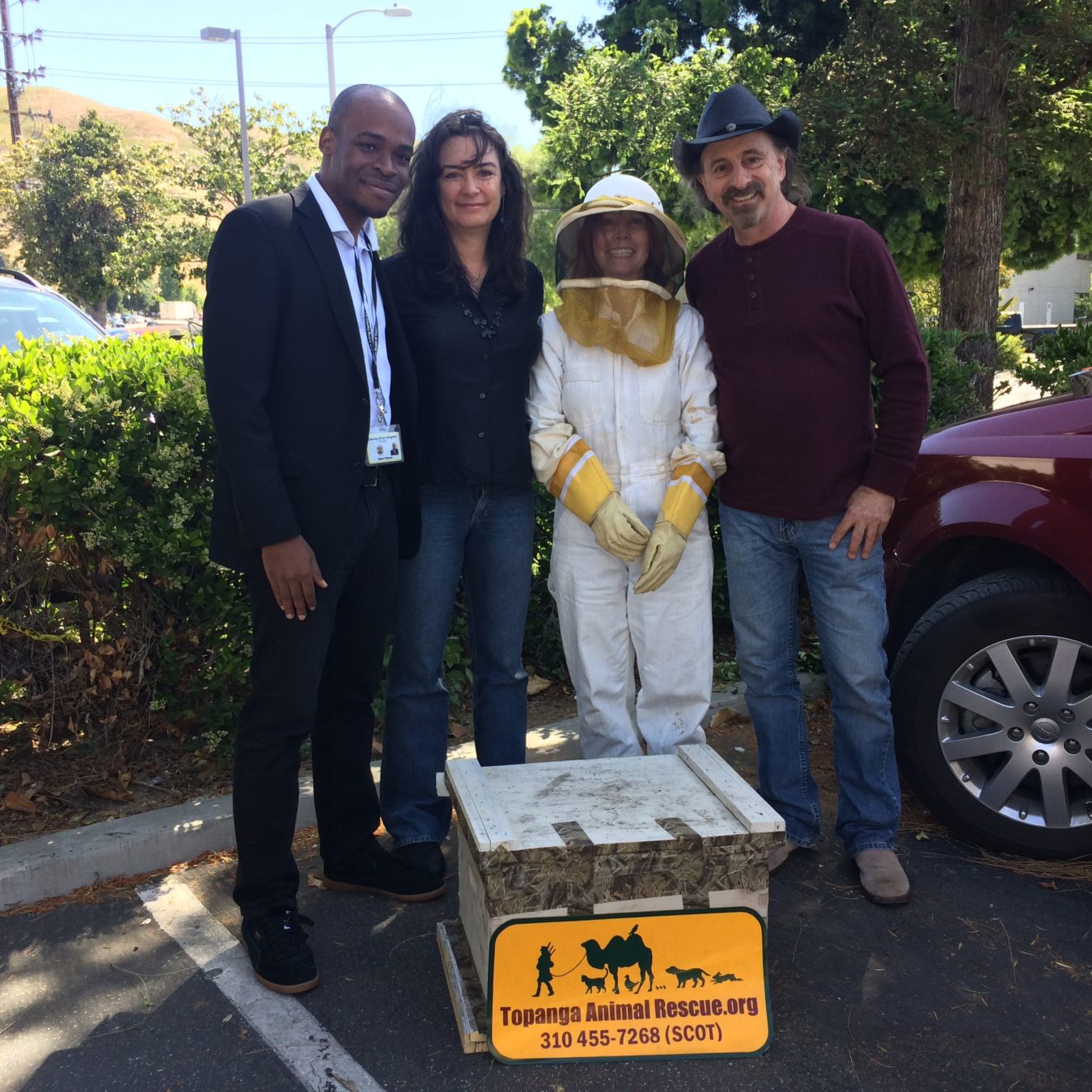 Bee Rescue in Calabasas