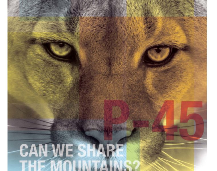 Can We Share the Mountains?