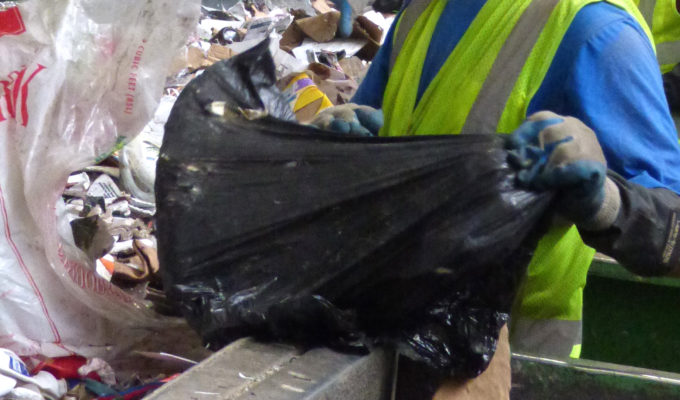 A sorter at WM recycling facility pulls out a plastic trash bag that will go into landfill with all its contents whether recycling or trash. Photo by Suzanne Guldimann