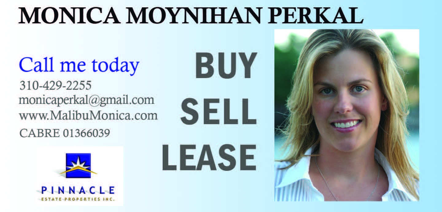 Monica Moynihan Perkal – M'Online