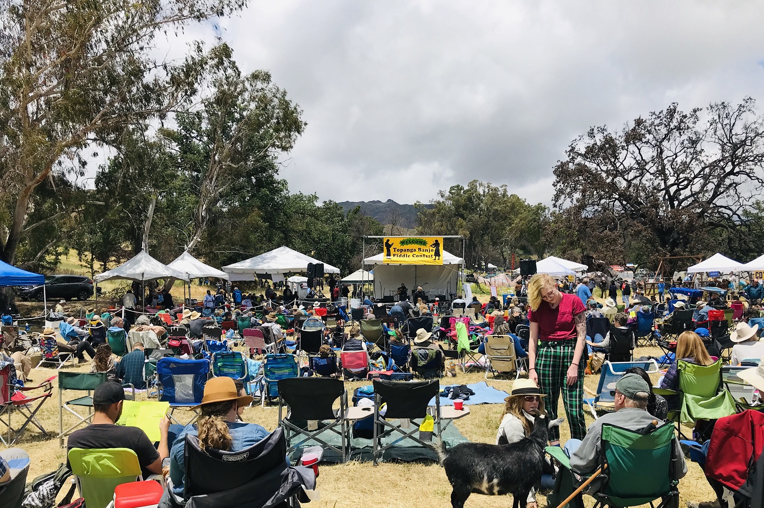 Topanga Banjo Fiddle Contest & Folk Festival Triumphs