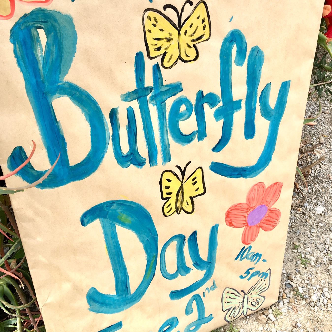 Second Annual Butterfly Day